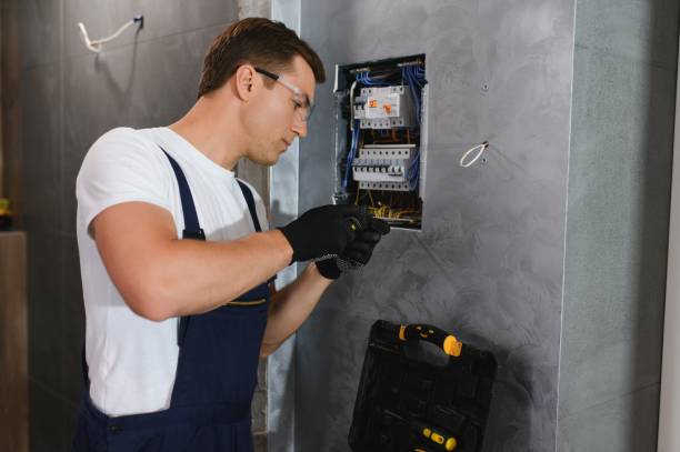 Best Generator Installation Services  in Lakeville, MN